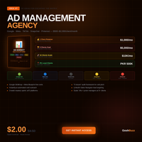 Earning – Idea #7: Ad Management Agency Blueprint