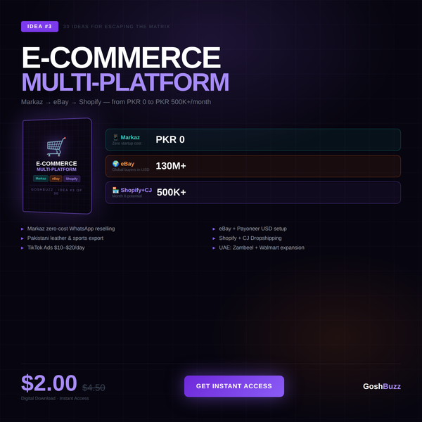 Earning – Idea #3: E-Commerce Multi-Platform Dropshipping Guide