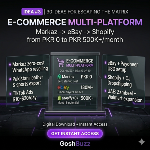 Earning – Idea #3: E-Commerce Multi-Platform Dropshipping Guide