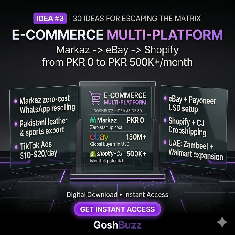 Earning – Idea #3: E-Commerce Multi-Platform Dropshipping Guide