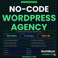 Earning – Idea #26: No-Code WordPress Agency Blueprint